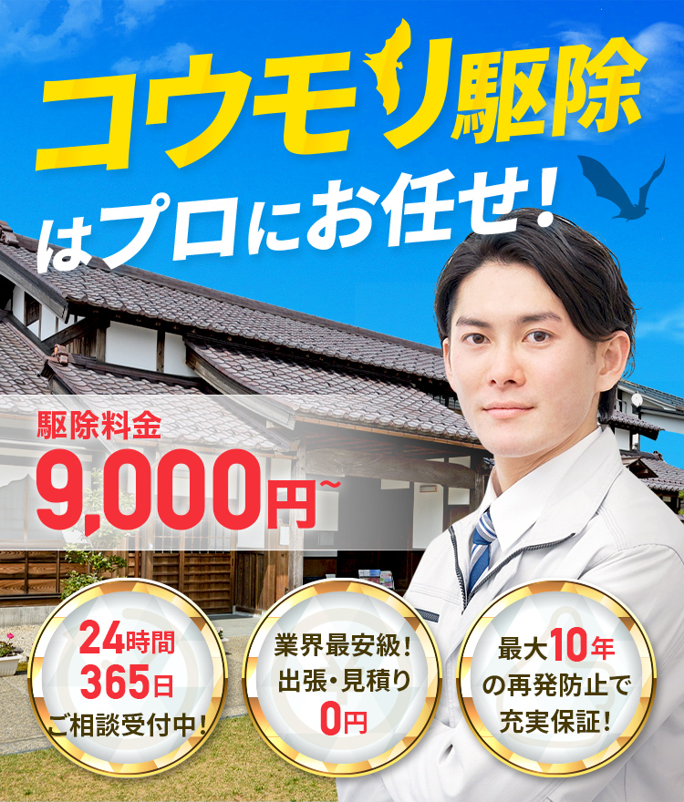 コウモリ駆除はプロにお任せ! 駆除料金9,000円～ 24時間365日ご相談受付中！・業界最安級！出張見積り0円・最大10年の再発防止で充実保証