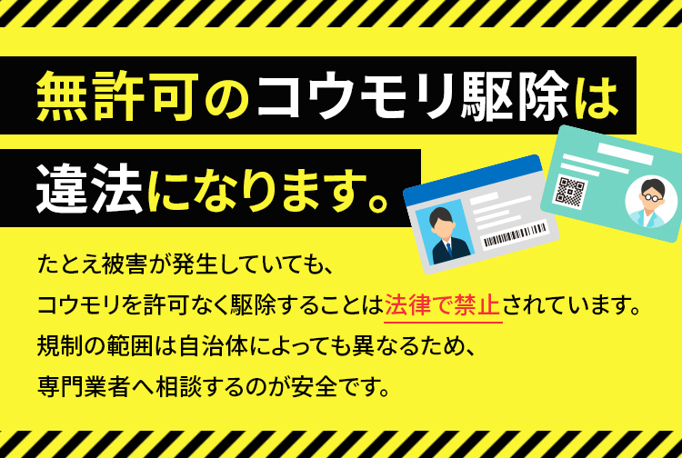 無許可のコウモリ駆除は違法になります。たとえ被害があってもコウモリを許可なく駆除することは法律で禁止されています。規制の範囲は自治体によっても異なるため、専門業者へ相談するのが安全です。