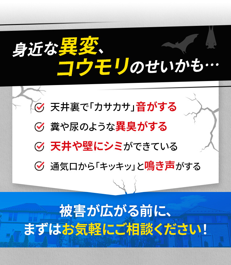 身近な異変、それコウモリのせいかも…☑天井裏で「カサカサ」音がする☑糞や尿のような異臭がする☑天井や壁にシミができている☑通気口から「キッキッ」と鳴き声がする 被害が広がる前に、まずはお気軽にご相談ください！