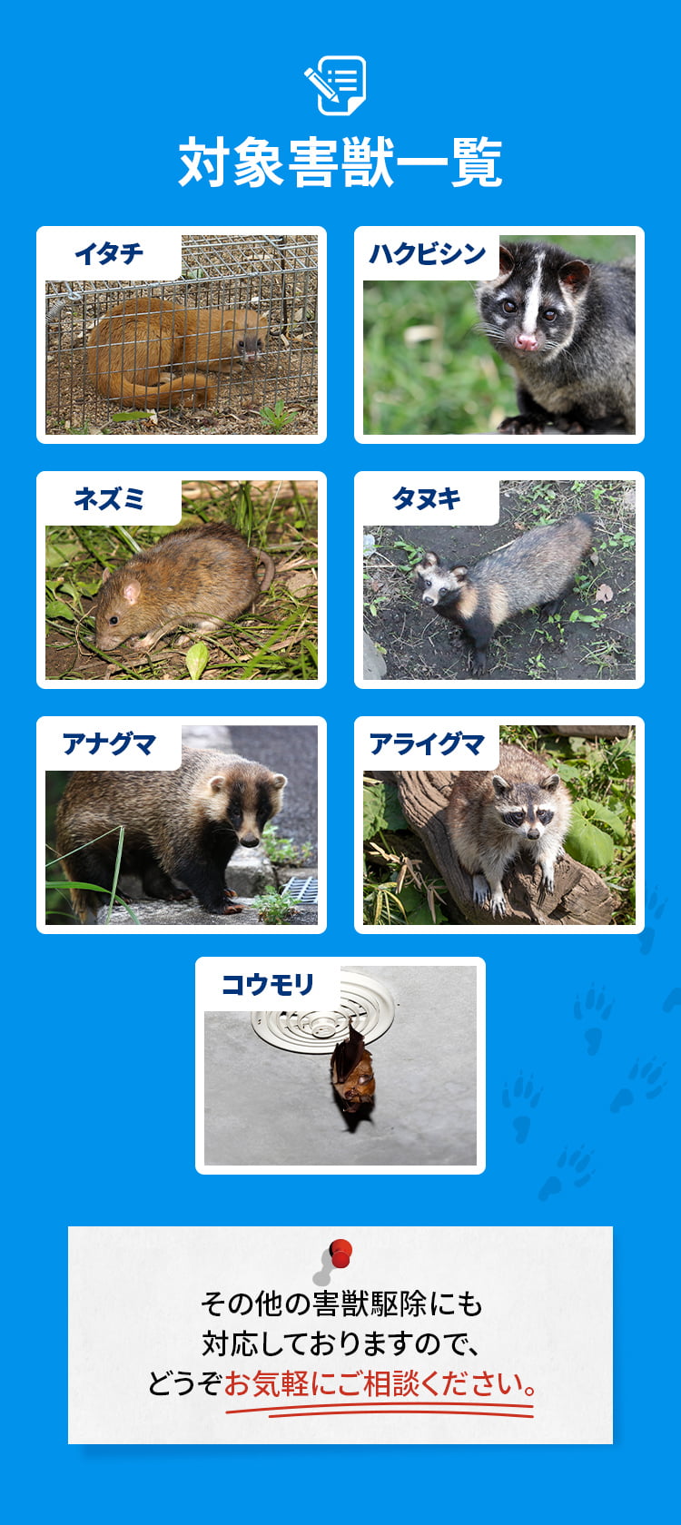 対応害獣一覧：イタチ・ハクビシン・ネズミ・タヌキ・アナグマ・アライグマ・コウモリ その他の害獣駆除にも対応しておりますので、どうぞお気軽にご相談ください。