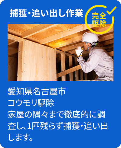 捕獲・追い出し作業