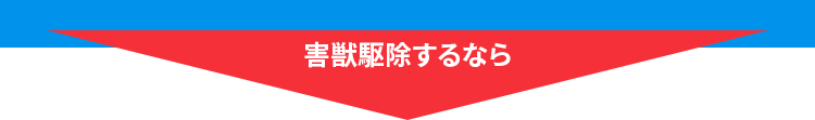 東海エリアで害獣駆除するなら地域で選ばれ続ける害獣セーフガードにお任せ！！