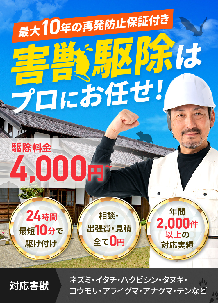東海地方の害獣駆除はプロにお任せ！ 駆除料金4,000円～ 24時間最短10分で駆け付け 相談・出張費・見積り全て０円 最大10年安心の保証付き 対応害獣:ネズミ・イタチ・ハクビシン・タヌキ・コウモリ・アライグマ・アナグマ・テンなど