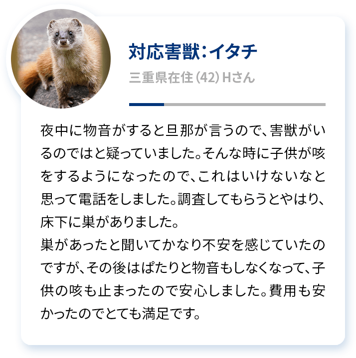 対応害獣：イタチ 三重県在住（42）Hさん 夜中に物音がすると旦那が言うので、害獣がいるのではと疑っていました。そんな時に子供が咳をするようになったので、これはいけないなと思って電話をしました。調査してもらうとやはり、床下に巣がありました。巣があったと聞いてかなり不安を感じていたのですが、その後はぱたりと物音もしなくなって、子供の咳も止まったので安心しました。費用も安かったのでとても満足です。
