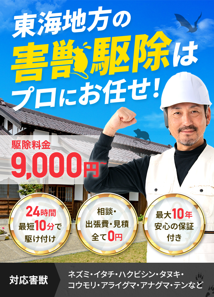 東海地方の害獣駆除はプロにお任せ！ 駆除料金9,000円～ 24時間最短10分で駆け付け 相談・出張費・見積り全て０円 最大10年安心の保証付き 対応害獣:ネズミ・イタチ・ハクビシン・タヌキ・コウモリ・アライグマ・アナグマ・テンなど