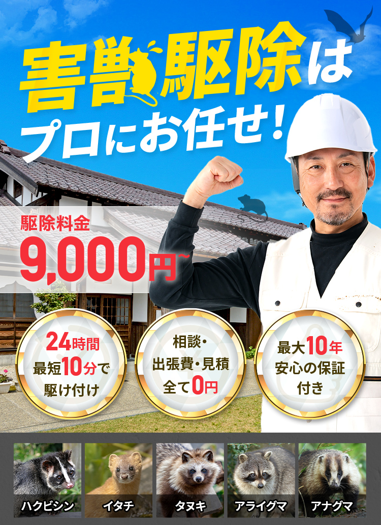 東海地方の害獣駆除はプロにお任せ！ 駆除料金9,000円～ 24時間最短10分で駆け付け 相談・出張費・見積り全て０円 最大10年安心の保証付き 対応害獣:ネズミ・イタチ・ハクビシン・タヌキ・コウモリ・アライグマ・アナグマ・テンなど